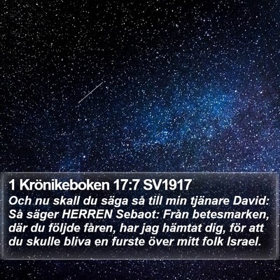 1 Krönikeboken 17:7 SV1917 Bible Verse Image