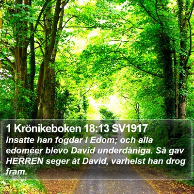 1 Krönikeboken 18:13 SV1917 Bible Verse Image