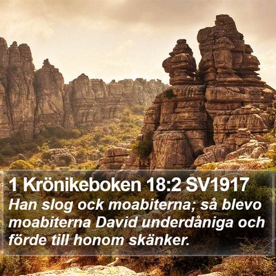 1 Krönikeboken 18:2 SV1917 Bible Verse Image