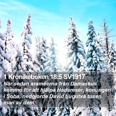 1 Krönikeboken 18:5 SV1917 Bible Verse Image
