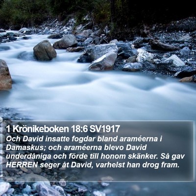 1 Krönikeboken 18:6 SV1917 Bible Verse Image