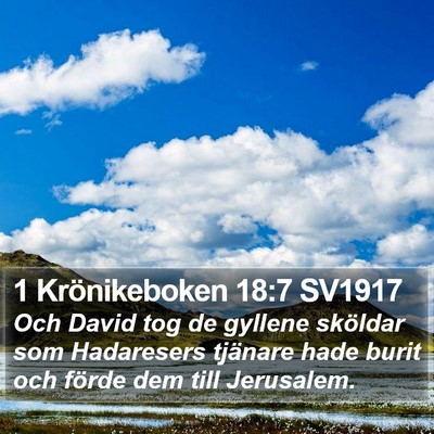 1 Krönikeboken 18:7 SV1917 Bible Verse Image