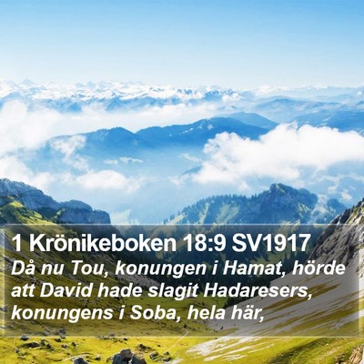 1 Krönikeboken 18:9 SV1917 Bible Verse Image