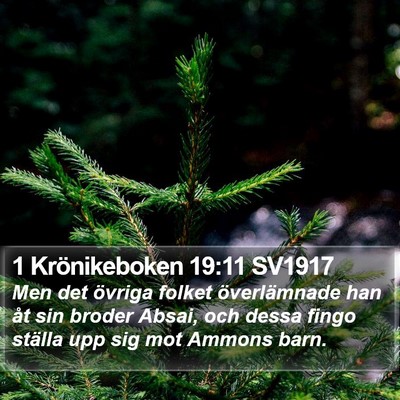 1 Krönikeboken 19:11 SV1917 Bible Verse Image
