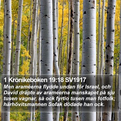 1 Krönikeboken 19:18 SV1917 Bible Verse Image