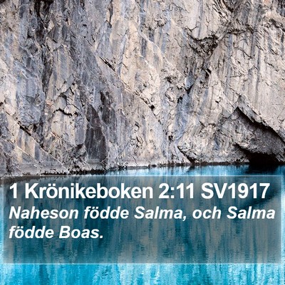 1 Krönikeboken 2:11 SV1917 Bible Verse Image