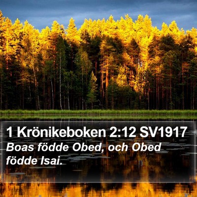 1 Krönikeboken 2:12 SV1917 Bible Verse Image