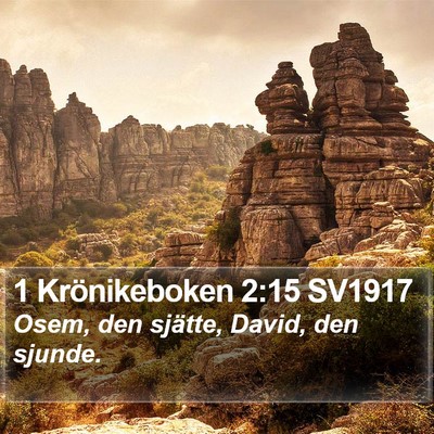 1 Krönikeboken 2:15 SV1917 Bible Verse Image
