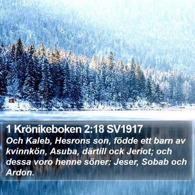 1 Krönikeboken 2:18 SV1917 Bible Verse Image