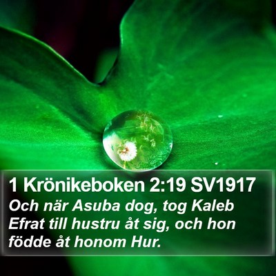 1 Krönikeboken 2:19 SV1917 Bible Verse Image