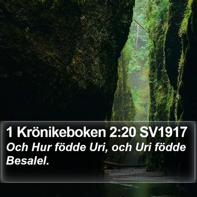 1 Krönikeboken 2:20 SV1917 Bible Verse Image
