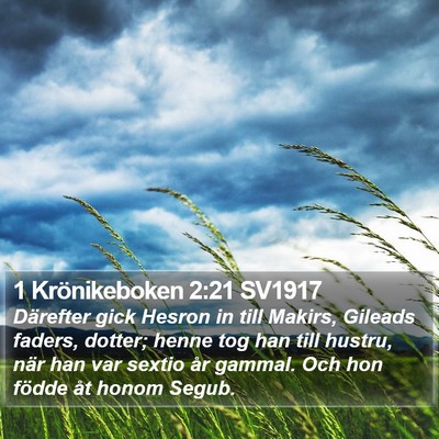 1 Krönikeboken 2:21 SV1917 Bible Verse Image