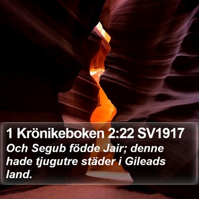 1 Krönikeboken 2:22 SV1917 Bible Verse Image