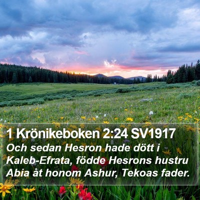 1 Krönikeboken 2:24 SV1917 Bible Verse Image
