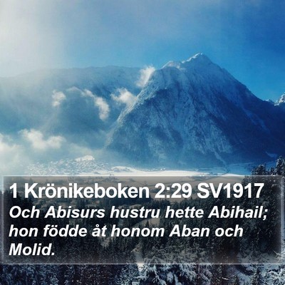 1 Krönikeboken 2:29 SV1917 Bible Verse Image