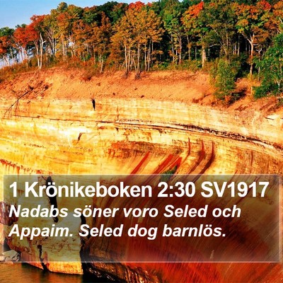 1 Krönikeboken 2:30 SV1917 Bible Verse Image