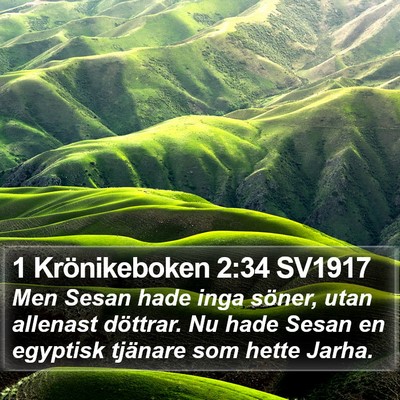 1 Krönikeboken 2:34 SV1917 Bible Verse Image