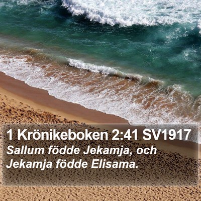 1 Krönikeboken 2:41 SV1917 Bible Verse Image