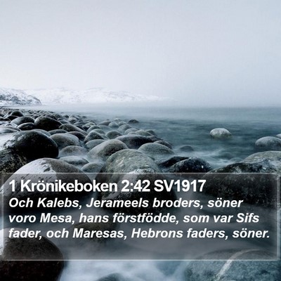 1 Krönikeboken 2:42 SV1917 Bible Verse Image