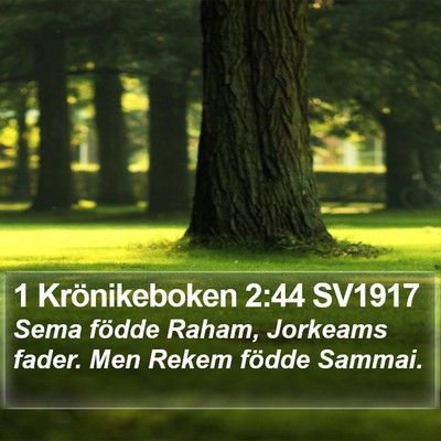1 Krönikeboken 2:44 SV1917 Bible Verse Image