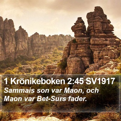 1 Krönikeboken 2:45 SV1917 Bible Verse Image