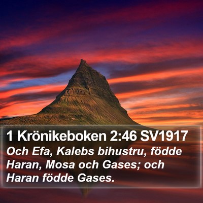 1 Krönikeboken 2:46 SV1917 Bible Verse Image