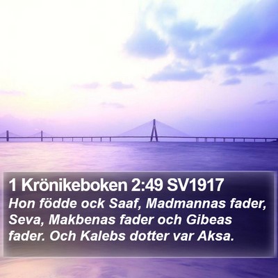 1 Krönikeboken 2:49 SV1917 Bible Verse Image