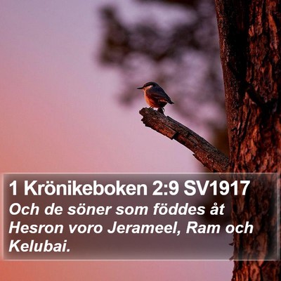 1 Krönikeboken 2:9 SV1917 Bible Verse Image
