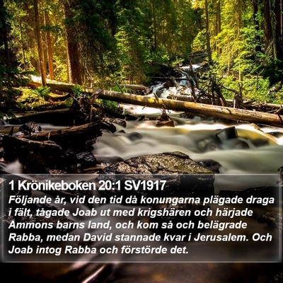 1 Krönikeboken 20:1 SV1917 Bible Verse Image