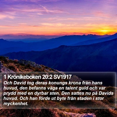 1 Krönikeboken 20:2 SV1917 Bible Verse Image