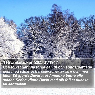 1 Krönikeboken 20:3 SV1917 Bible Verse Image