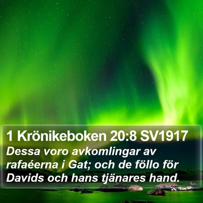 1 Krönikeboken 20:8 SV1917 Bible Verse Image