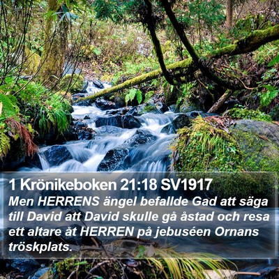 1 Krönikeboken 21:18 SV1917 Bible Verse Image