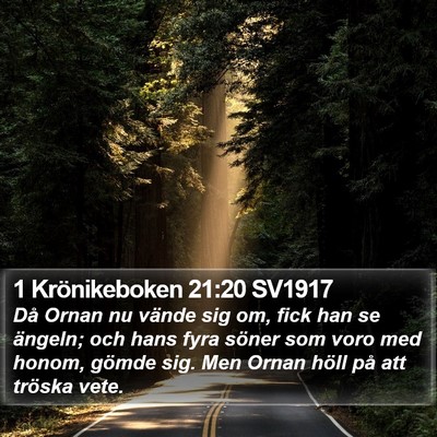1 Krönikeboken 21:20 SV1917 Bible Verse Image