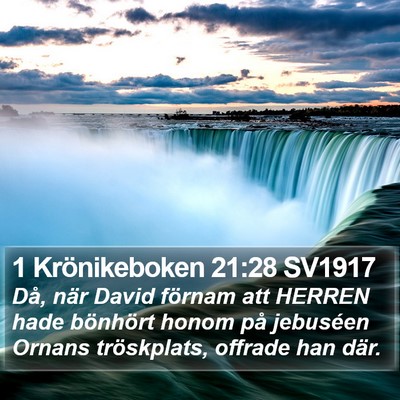 1 Krönikeboken 21:28 SV1917 Bible Verse Image