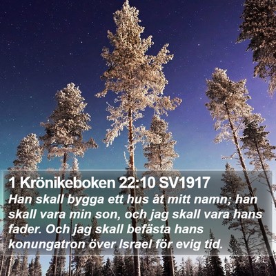1 Krönikeboken 22:10 SV1917 Bible Verse Image