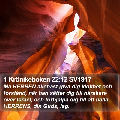 1 Krönikeboken 22:12 SV1917 Bible Verse Image