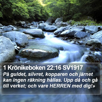1 Krönikeboken 22:16 SV1917 Bible Verse Image