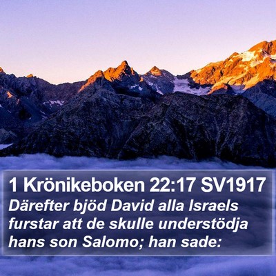 1 Krönikeboken 22:17 SV1917 Bible Verse Image