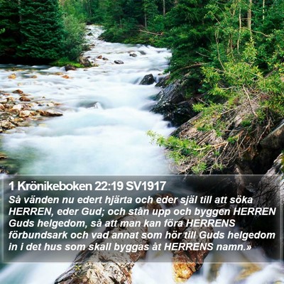 1 Krönikeboken 22:19 SV1917 Bible Verse Image