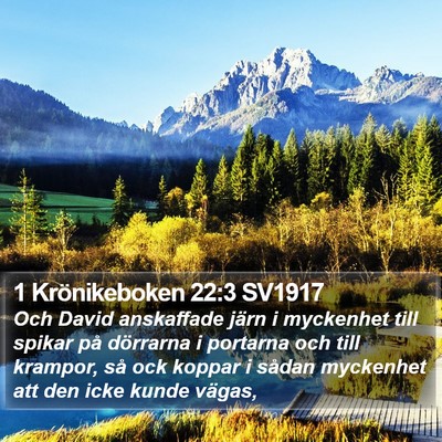 1 Krönikeboken 22:3 SV1917 Bible Verse Image