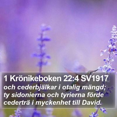 1 Krönikeboken 22:4 SV1917 Bible Verse Image