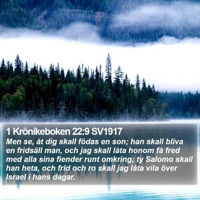 1 Krönikeboken 22:9 SV1917 Bible Verse Image
