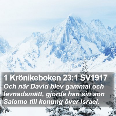 1 Krönikeboken 23:1 SV1917 Bible Verse Image