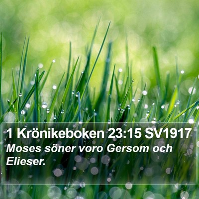 1 Krönikeboken 23:15 SV1917 Bible Verse Image