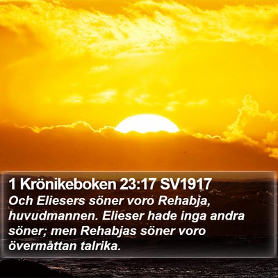 1 Krönikeboken 23:17 SV1917 Bible Verse Image