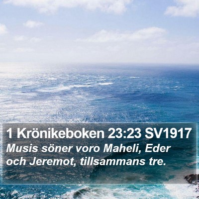 1 Krönikeboken 23:23 SV1917 Bible Verse Image