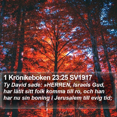 1 Krönikeboken 23:25 SV1917 Bible Verse Image