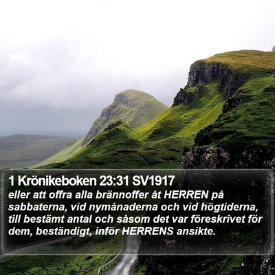 1 Krönikeboken 23:31 SV1917 Bible Verse Image