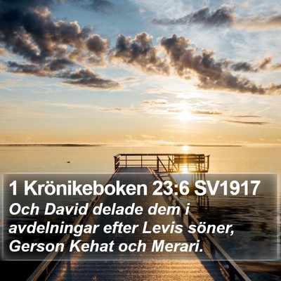 1 Krönikeboken 23:6 SV1917 Bible Verse Image